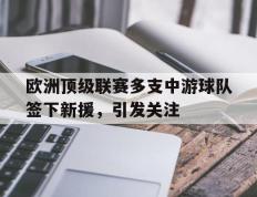 开云登录入口-欧洲顶级联赛多支中游球队签下新援，引发关注