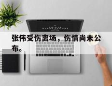开云online-张伟受伤离场，伤情尚未公布。