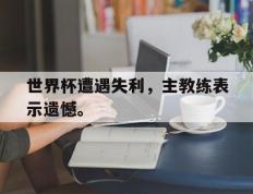 开云网页-世界杯遭遇失利，主教练表示遗憾。