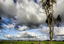 开云网页-电竞国家队对阵凯尔特人展开拉锯大战，最终险胜对手