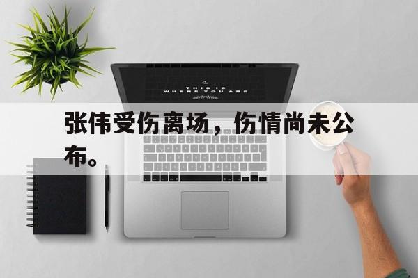 开云online-张伟受伤离场，伤情尚未公布。