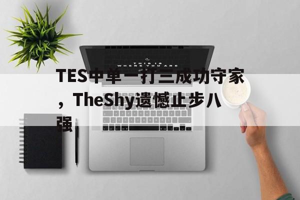 开云电子-TES中单一打三成功守家，TheShy遗憾止步八强