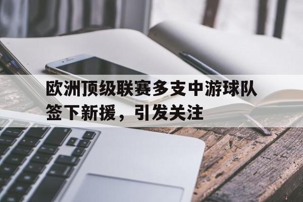 开云登录入口-欧洲顶级联赛多支中游球队签下新援，引发关注